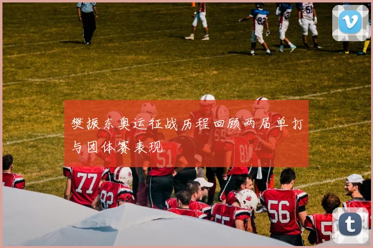 樊振东奥运征战历程回顾两届单打与团体赛表现